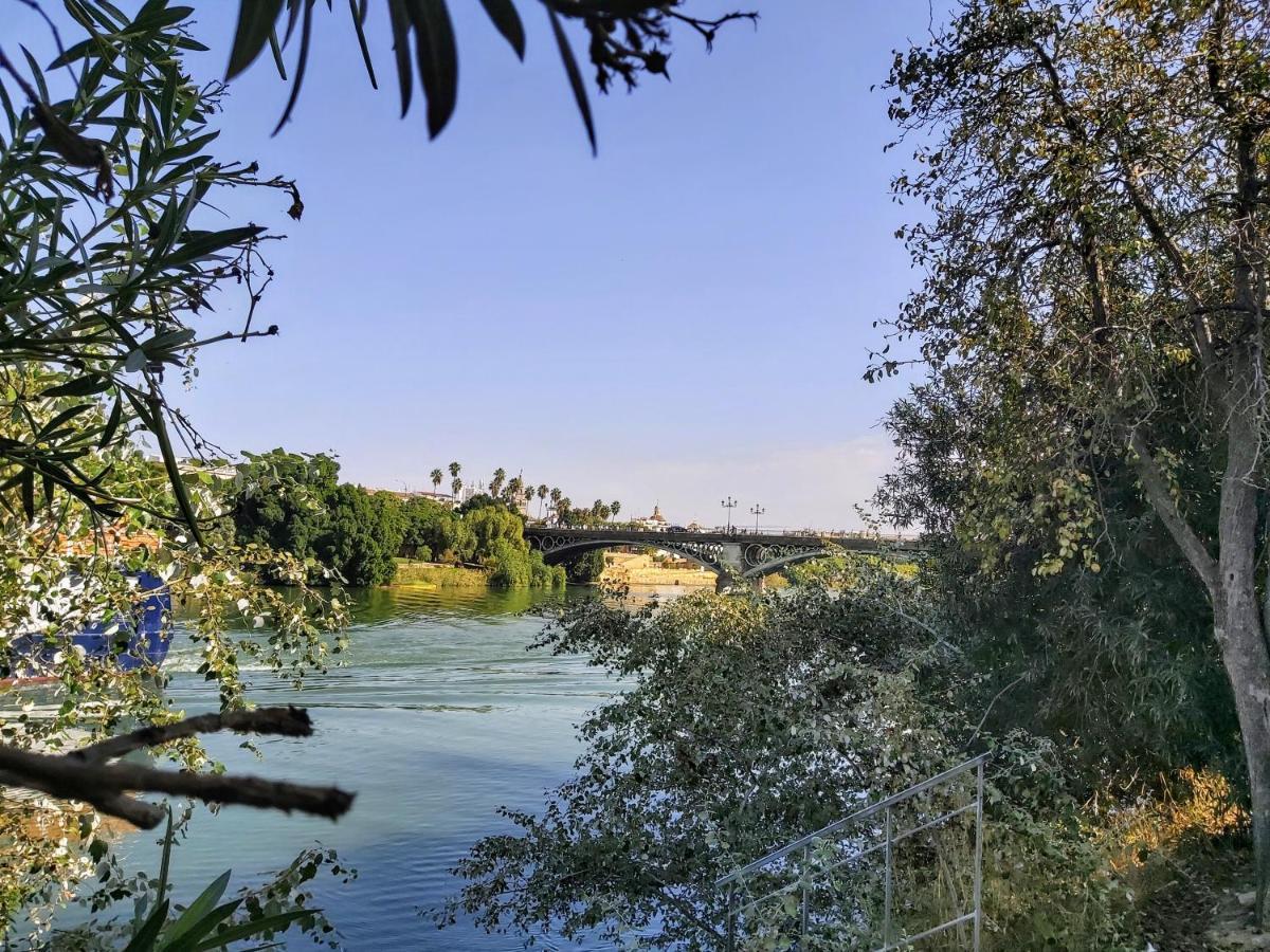 Triana Procurador Con Terraza Privada *