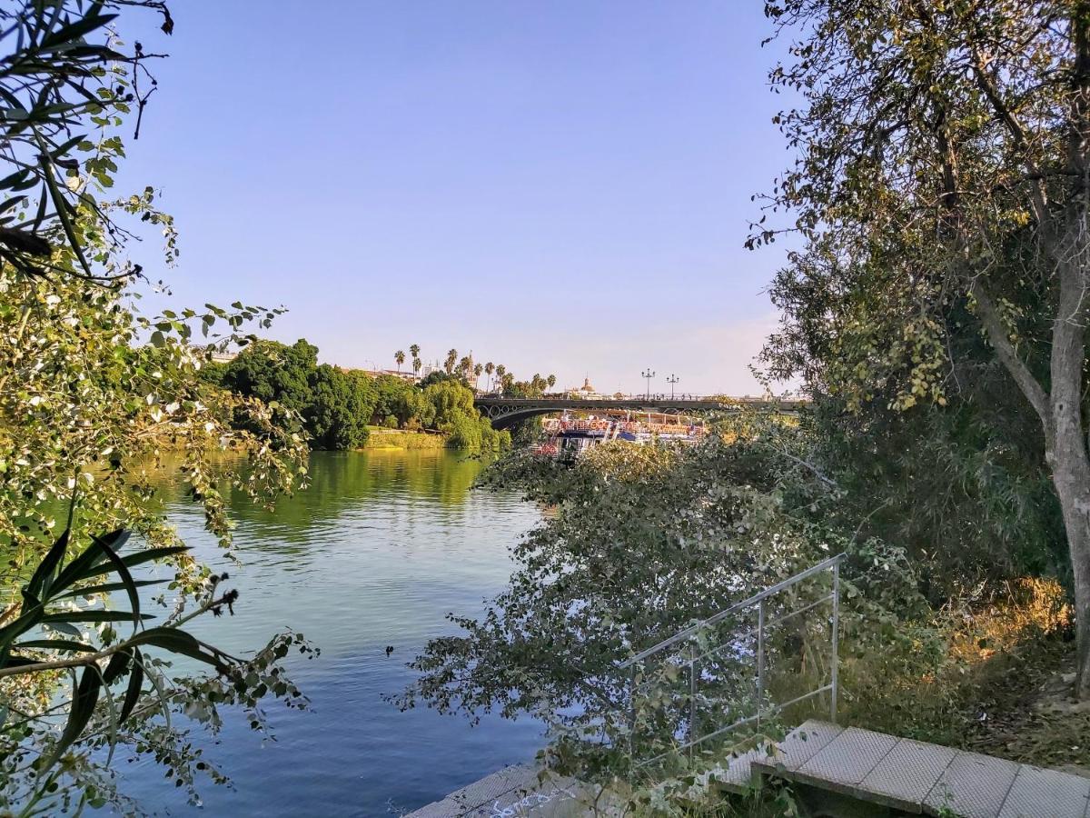 Triana Procurador Con Terraza Privada *