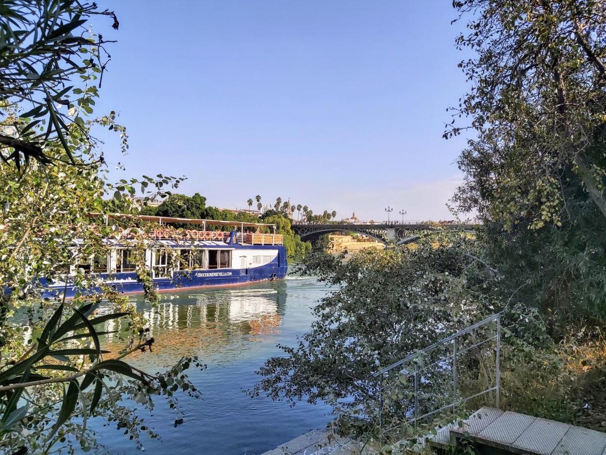 Triana Procurador Con Terraza Privada Seville